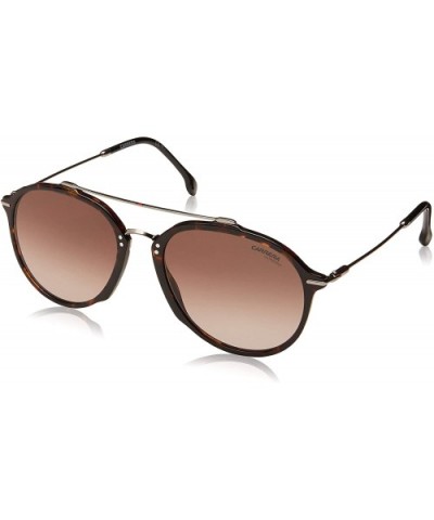 Men's 171/S Round Sunglasses - Dark Havana/Brown Gradient - C418IRUMSOA $43.75 Square